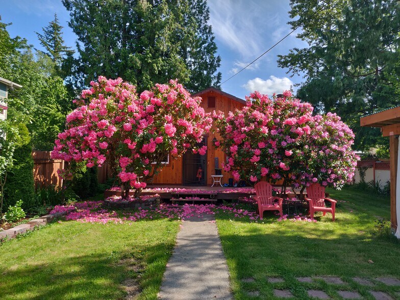 Spring 2019 - 3842 Idaho St