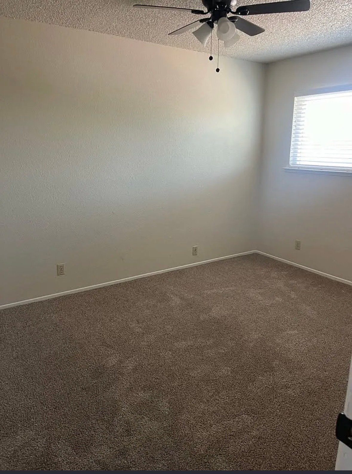 Building Photo - 3 Carson St