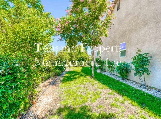 Building Photo - Red Bluff 3 bedroom 2 bathroom with 2 car garage