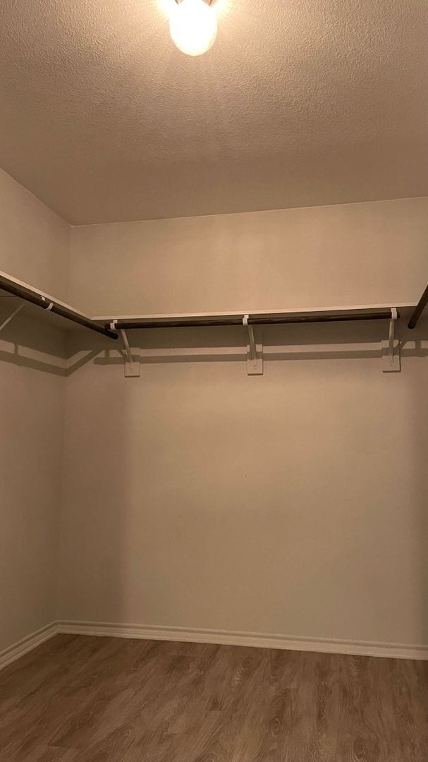 Building Photo - 3613 Dove Ln