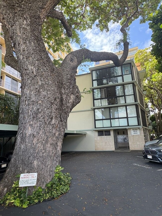 Building Photo - Tropic Seas #708- Elegant Gold Coast livin...