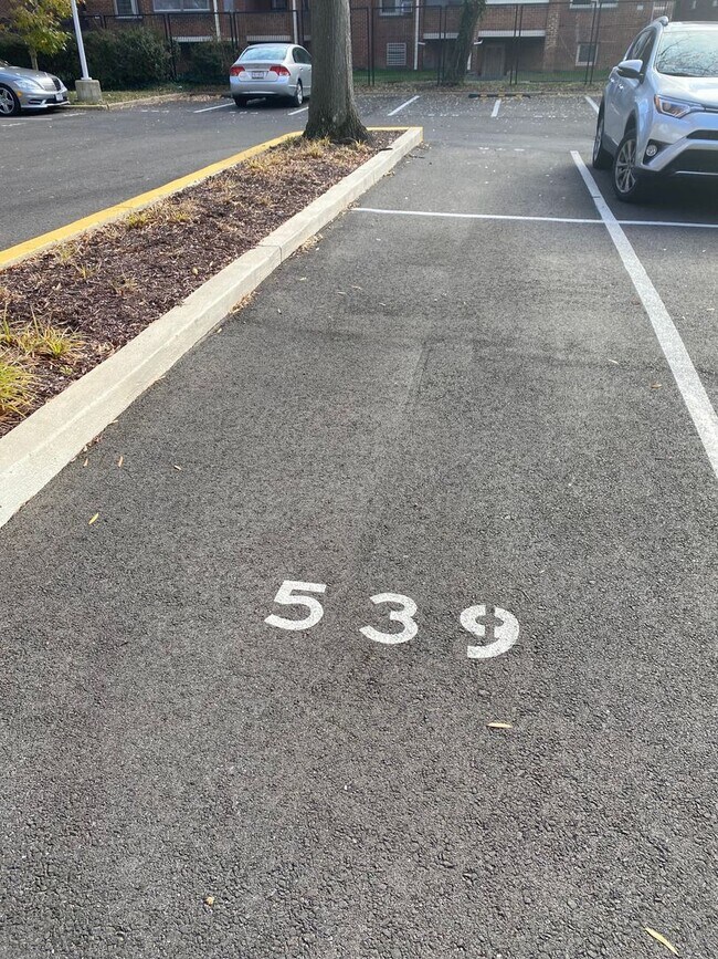 Building Photo - Large 744 sq.ft. 1 bedroom in historic Riverpark DC building