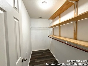 Building Photo - 24230 Saffron Plum