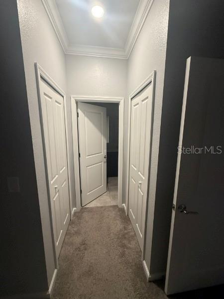 Building Photo - 1125 Saguaro St