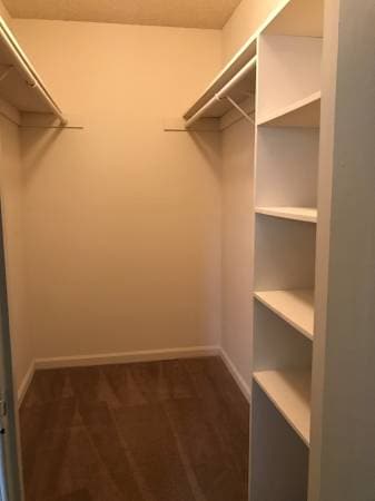 Building Photo - 125 Village Ln