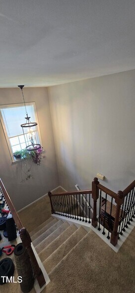 Building Photo - 204 Darbytown Pl