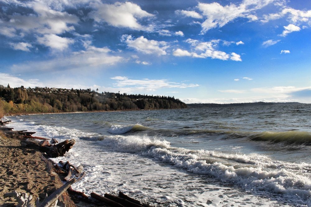 Salish Sea Down the Street - 19202 20th Ave NW