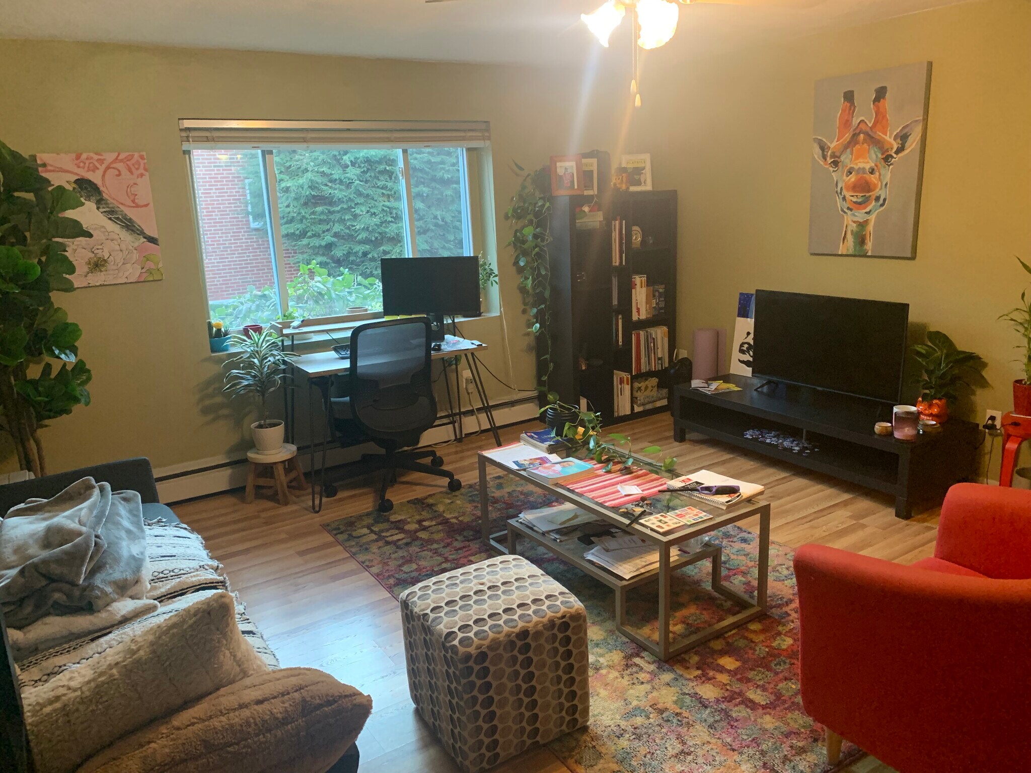 Building Photo - 26 Bryon Rd