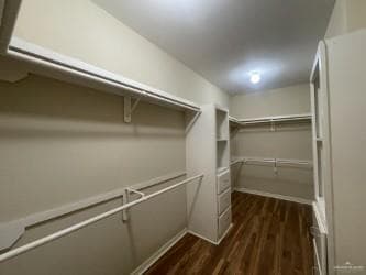 Building Photo - 1323 Buena Suerte