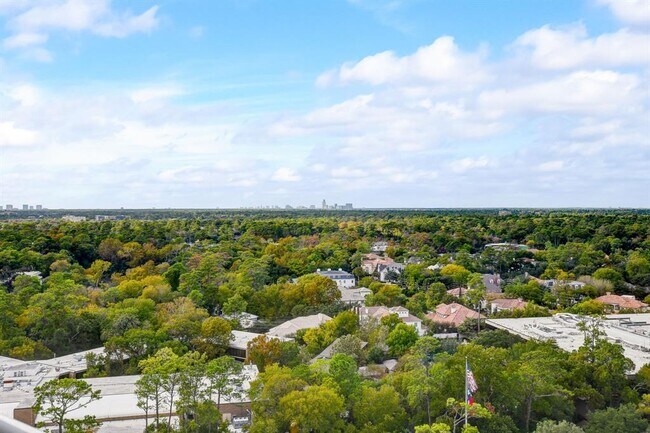 Building Photo - 121 N Post Oak Ln