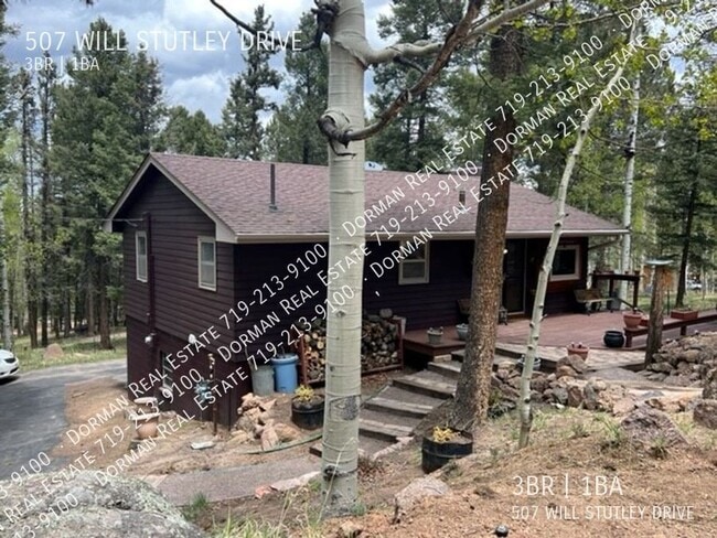 Building Photo - 507 Will Stutley Dr