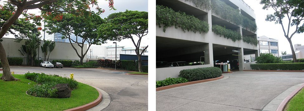 Building Photo - 1133 Waimanu St