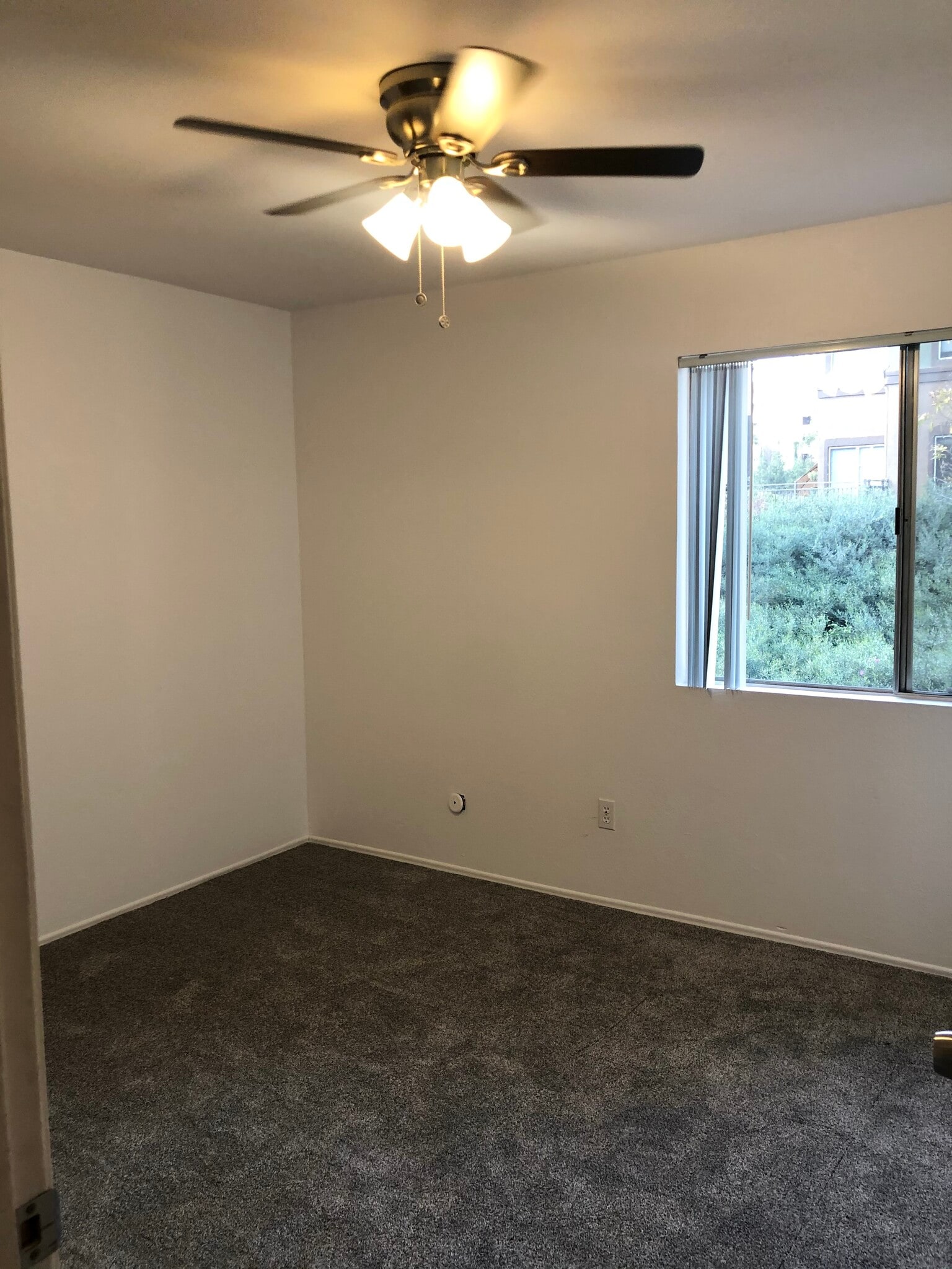 Building Photo - 7964 Mission Center Ct