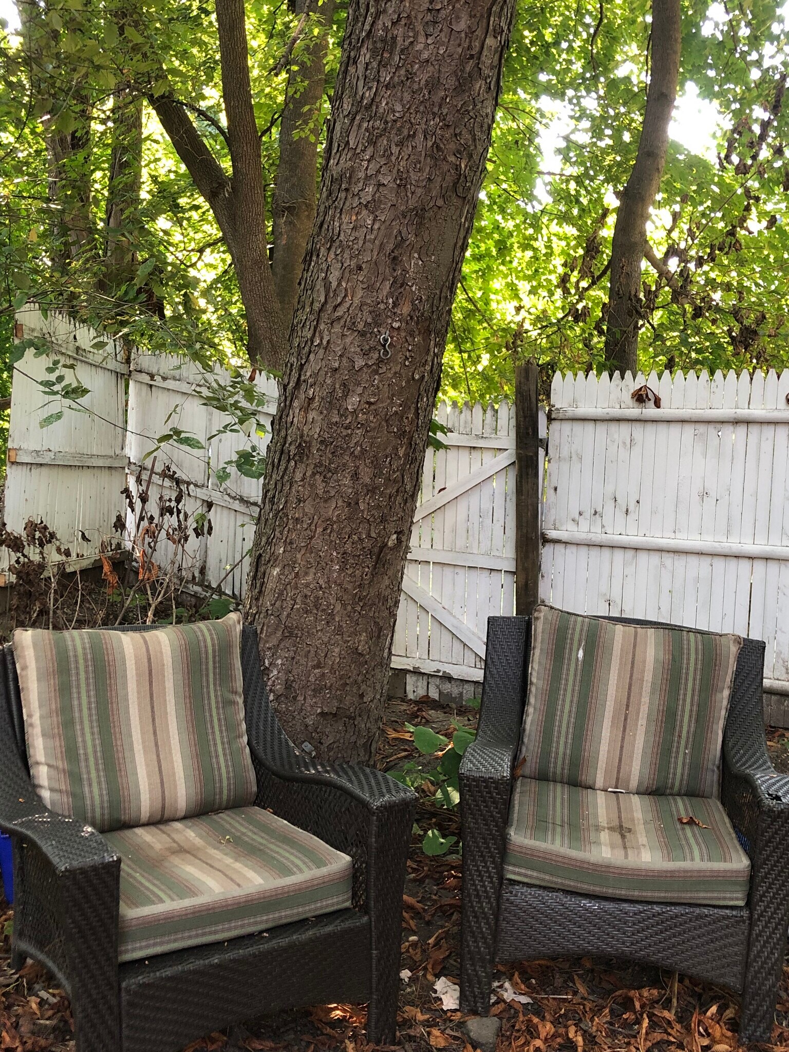 Building Photo - 100 College St