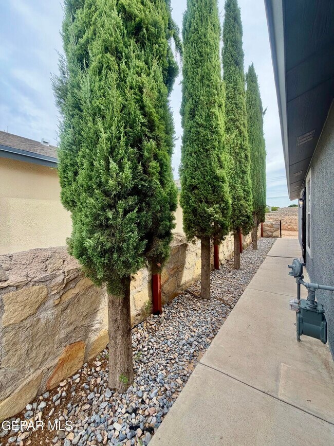 Building Photo - 3904 Tierra Marfil Rd