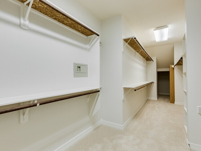 Building Photo - 6327 Collina Springs Ct