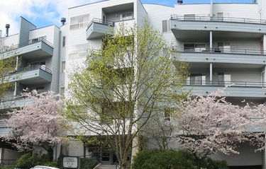 Building Photo - Terrace Villa Apartments