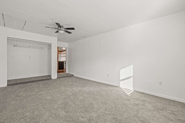 Building Photo - Stylish 3 Bed, 2 Bath Renovated Duplex in the Heart of Rincon!