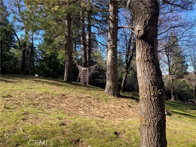 Building Photo - 180 Weisshorn Dr