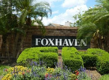 Building Photo - 2800 Falling Tree Cir