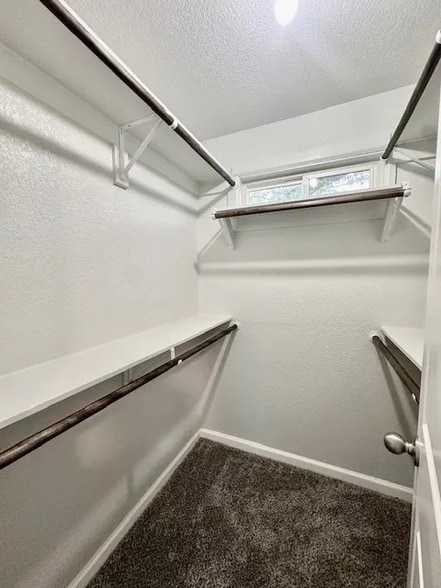 Building Photo - 5280 Atwell Ln