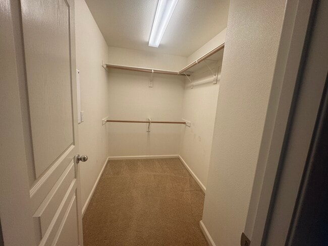 Building Photo - 11809 Cumbre Ct