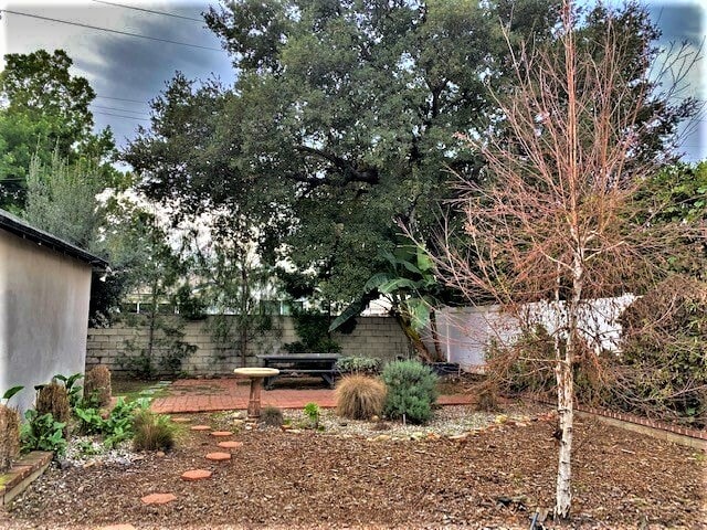Backyard - 14832 Hartsook St