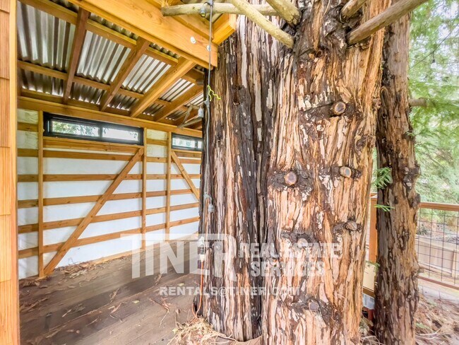 Building Photo - Carmichael Gem - Walking Distance to Ancil...
