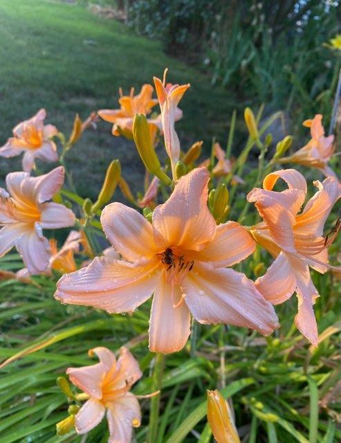 Building Photo - 110 6th St