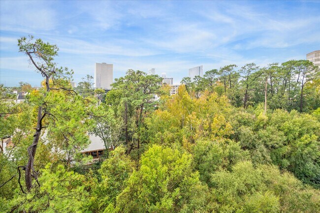 Building Photo - 49 Briar Hollow Ln