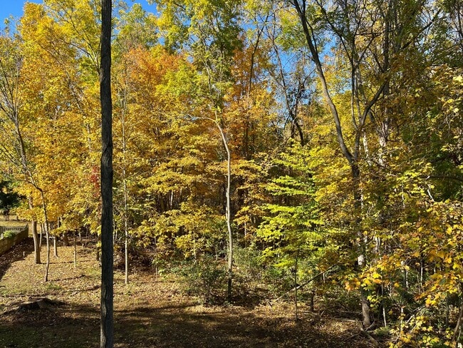 Building Photo - 7916 Bridge Crossing Ct