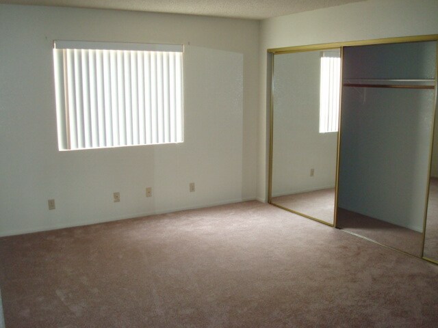 Building Photo - 1320 Pinto Rock Ln