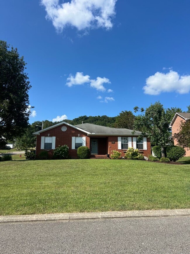 Building Photo - Great 3BR Home in Spring Hill