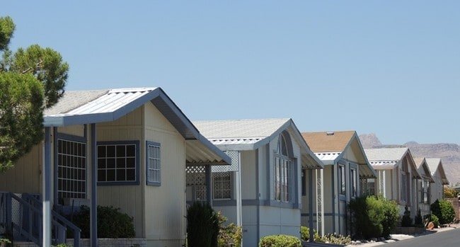 Primary Photo - Flamingo West