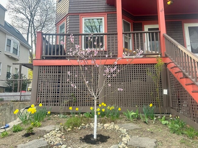 Building Photo - 46 Lombard Terrace