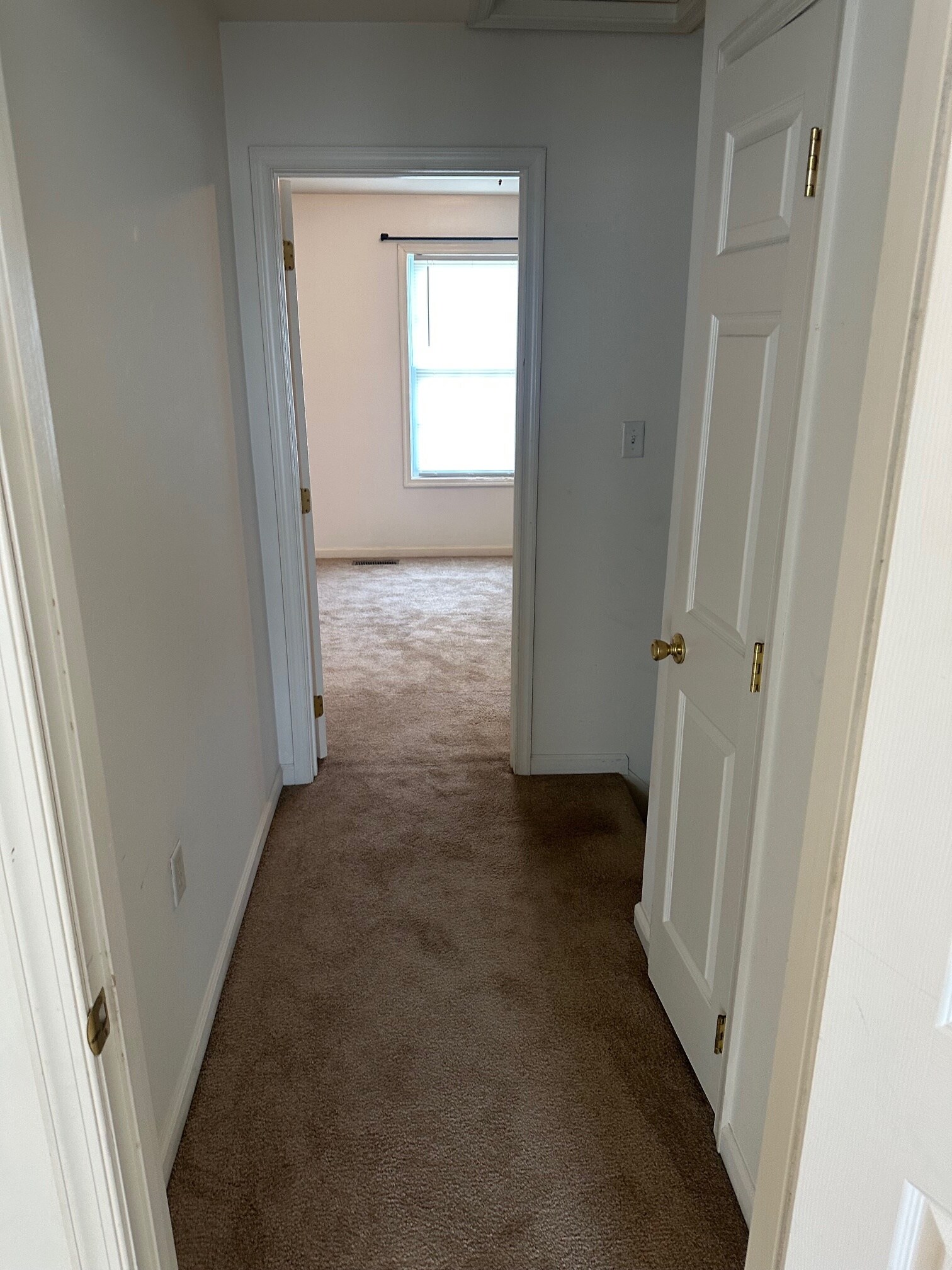 Building Photo - 91 Fuzzy Tail Dr