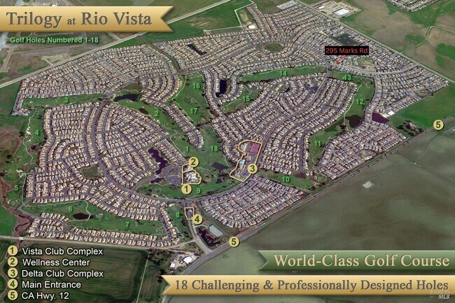 Building Photo - 295 Marks Rd