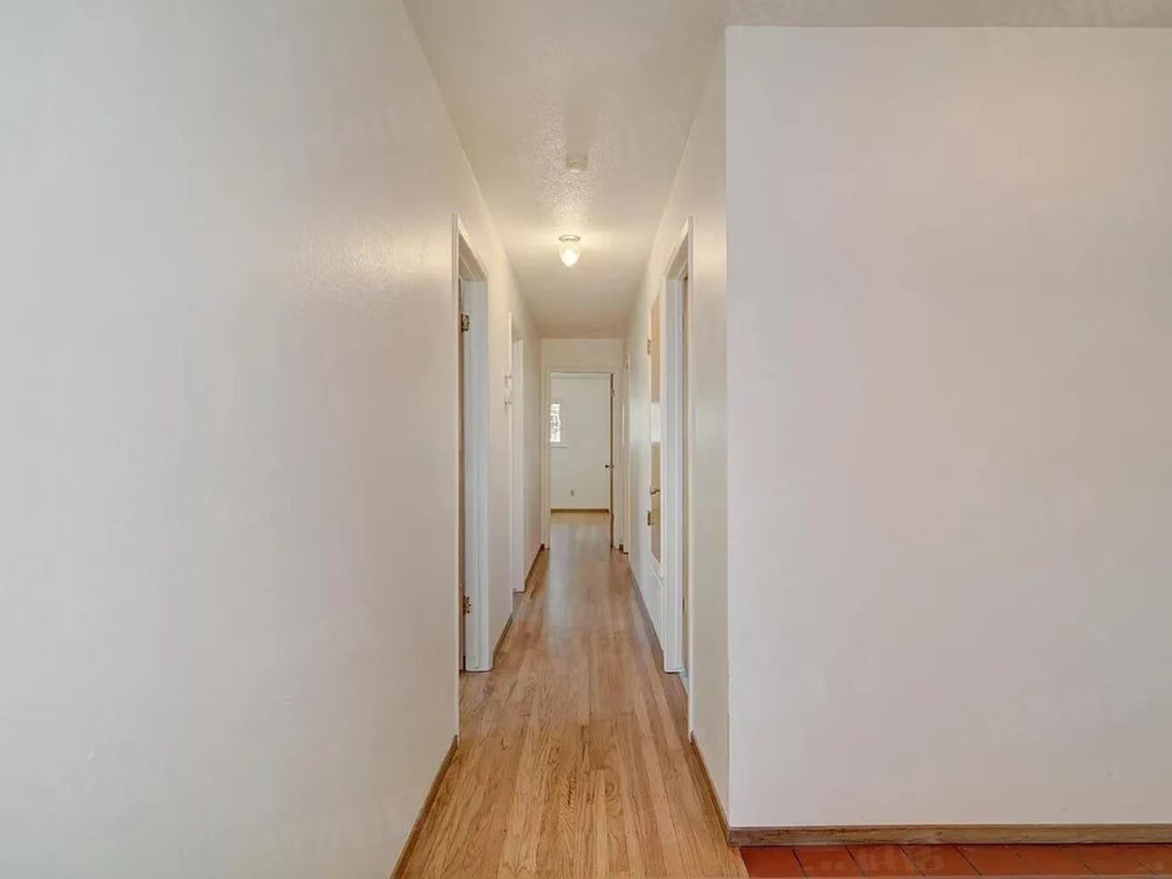 Building Photo - 907 Plum Ln