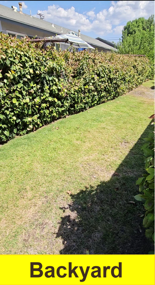 Building Photo - 1321 Turquoise Ave