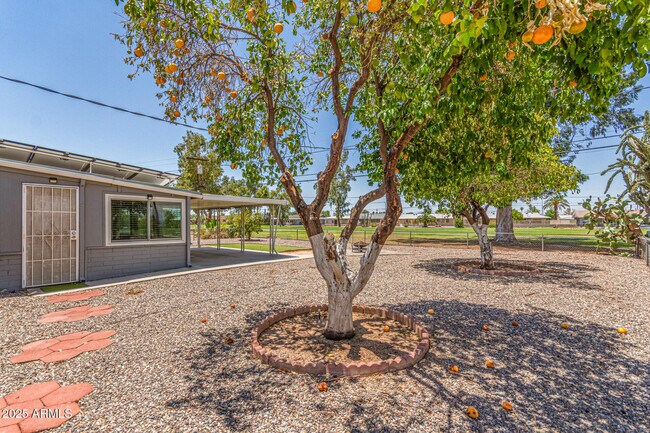 Building Photo - 12640 N Pebble Beach Dr