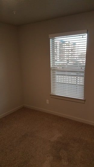 Bedroom 2 - 1700 Sandhill Rd