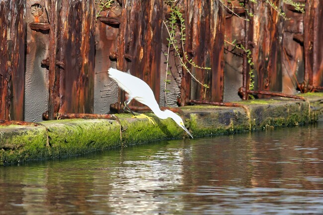 Building Photo - 1288 County Rd 297