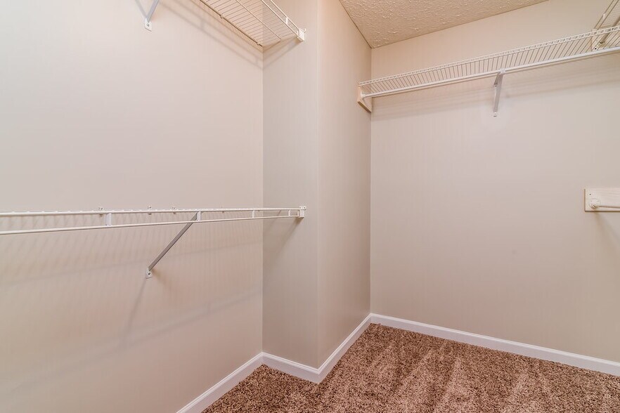 Building Photo - 1004 Blue Mountain Ln