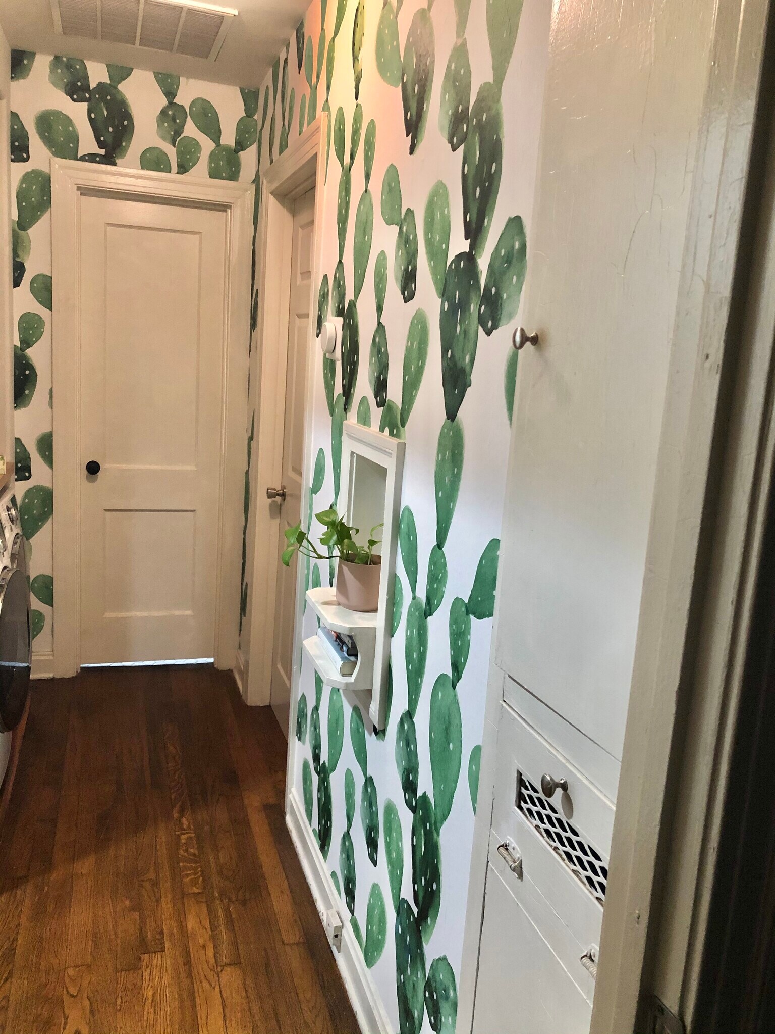 Hallway with Updated Cactus Wallpaper and Linen Closet - 5715 Joe Sayers Ave