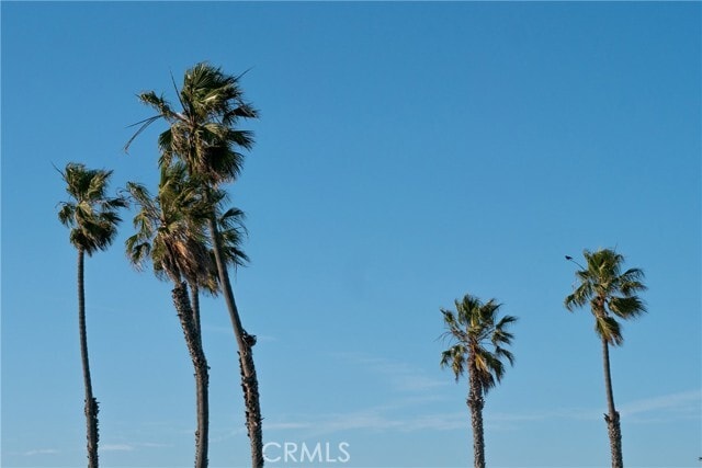 Building Photo - 17202 Corbina Ln