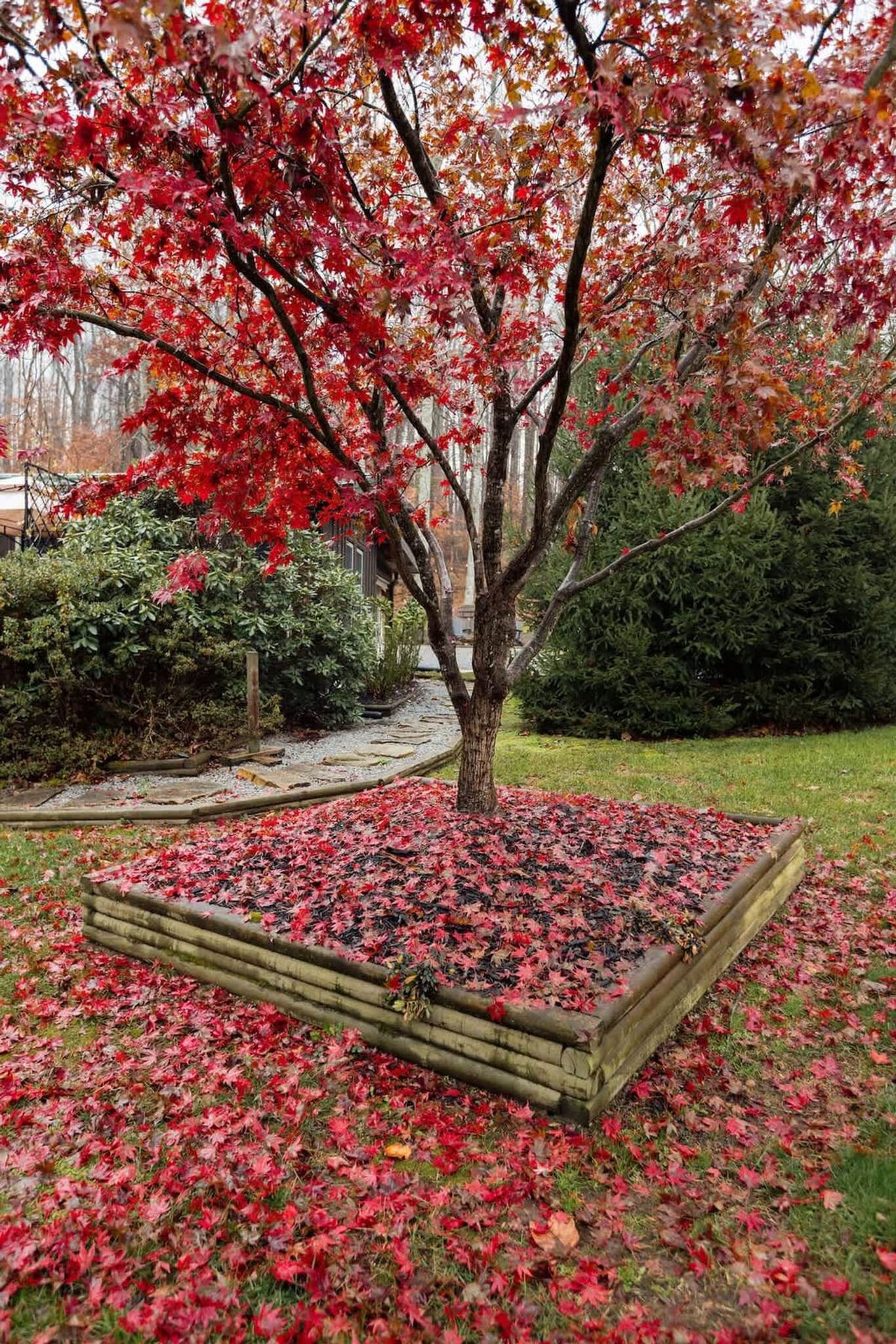 Building Photo - 521 Baywood Dr