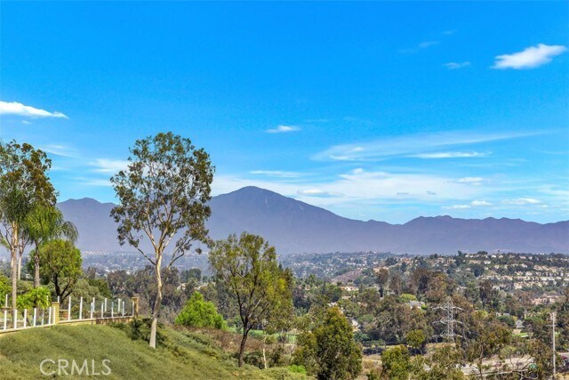 Building Photo - 26691 Bridlewood Dr