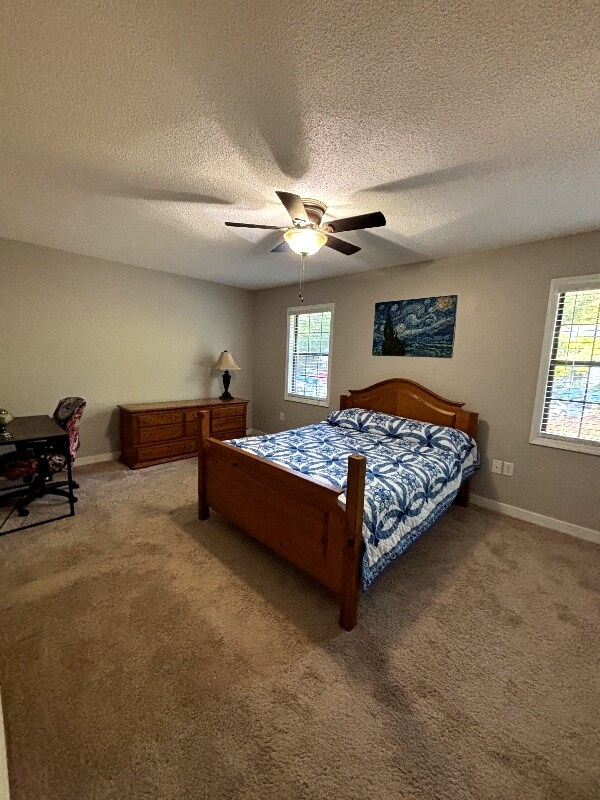 Building Photo - 18 Willow Bridge Dr