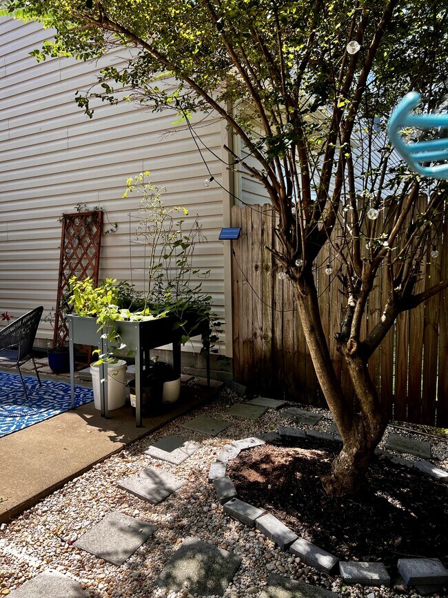 Building Photo - 5268 Pirata Pl