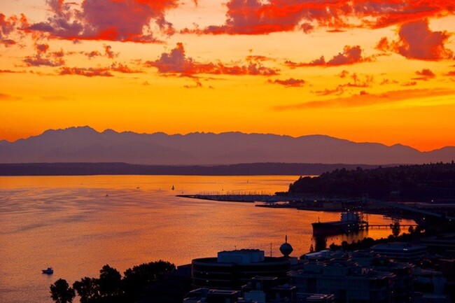 Building Photo - Stunning Belltown Penthouse w/ Ocean Views